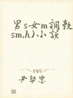 男s女m调教(sm,h)小说