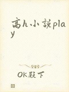 高h小说play