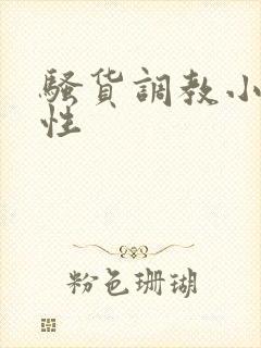 骚货调教小说双性