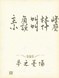 主角叫林峰都市小说叫什么名字封面