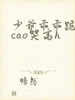 少爷乖乖跪趴被cao哭高h