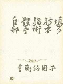 自体脂肪填充胸部手术要多少钱