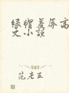 绿帽羞辱高辣h文小说封面