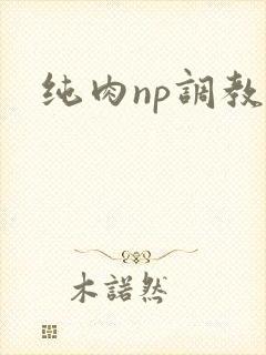 纯肉np调教文