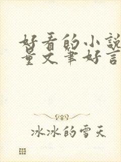 好看的小说高质量文笔好言情封面