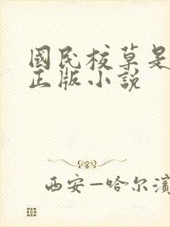 国民校草是女生正版小说