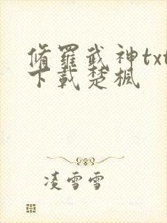 修罗武神txt下载楚枫