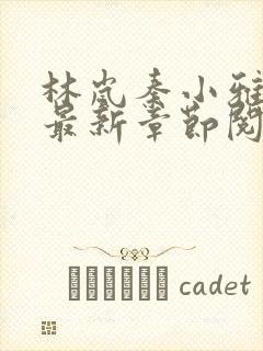 林岚秦小雅小说最新章节阅读林岚秦小雅小说