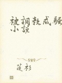 被调教成骚母狗小说