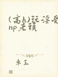 (高h)玩淫受np老头