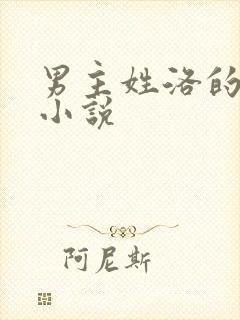 男主姓洛的总裁小说封面