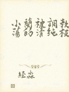 小兰被调教成浪荡的清纯校花视频