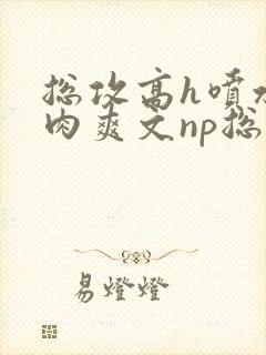 总攻高h喷水荡肉爽文np总攻