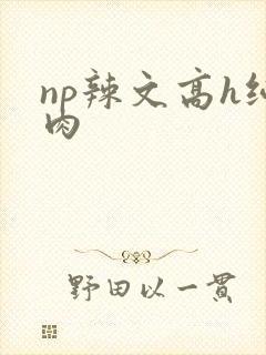 np辣文高h纯肉