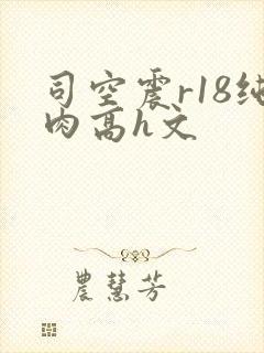 司空震r18纯肉高h文