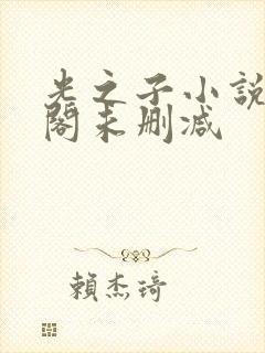 光之子小说笔趣阁未删减