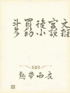 斗罗后宫文女主多的小说推荐