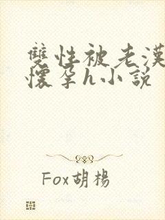 双性被老汉玩弄怀孕h小说