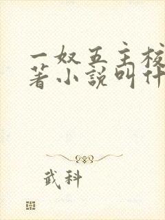 一奴五主校花原著小说叫什么封面