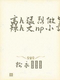 高h猛烈做哭高辣h文np小说