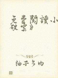 免费阅读小说《破云》