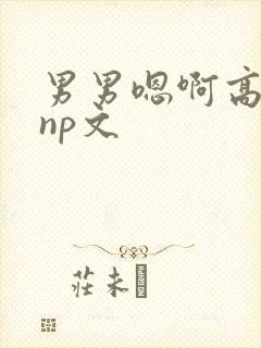 男男嗯啊高h黄np文
