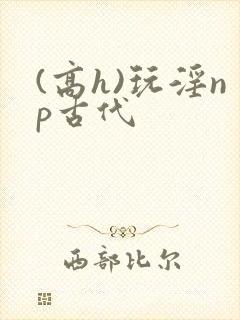 (高h)玩淫np古代