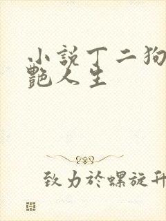 小说丁二狗的猎艳人生