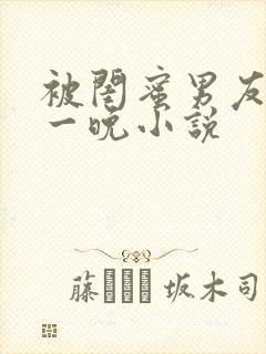 被闺蜜男友c了一晚小说