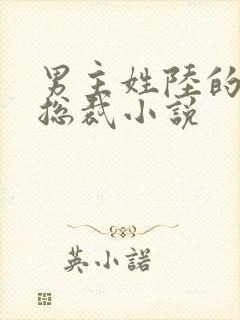 男主姓陆的所有总裁小说