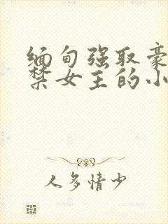 缅甸强取豪夺囚禁女主的小说