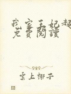 我家王妃超凶的免费阅读封面