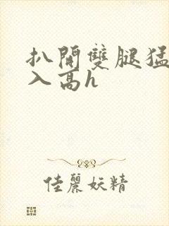 扒开双腿猛烈进入高h封面