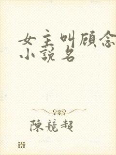 女主叫顾念念的小说名