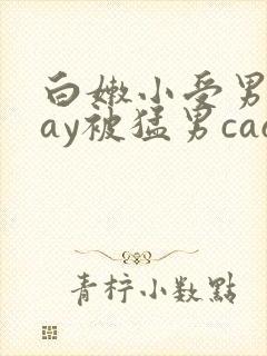 白嫩小受男男gay被猛男cao