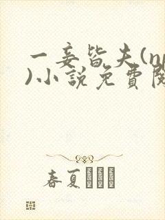 一妾皆夫(np)小说免费阅读