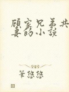 顾家兄弟共娶一妻的小说