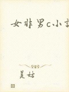 女非男c小说