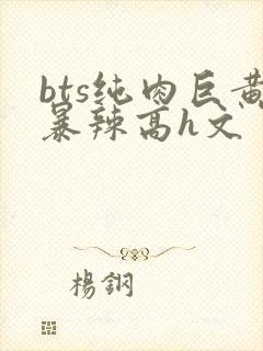 bts纯肉巨黄暴辣高h文