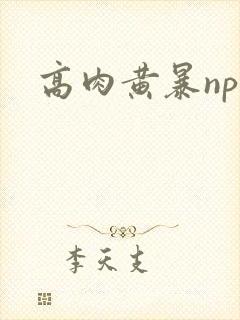 高肉黄暴np文
