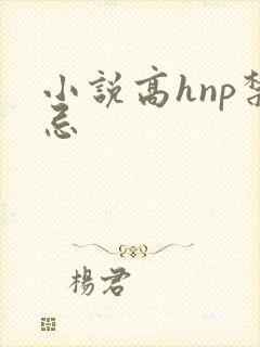 小说高hnp禁忌