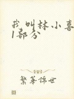 我叫林小喜全文1部分封面