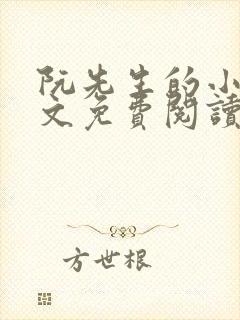 阮先生的小说全文免费阅读无弹窗