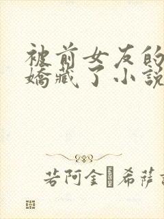 被前女友的姑姑娇藏了小说免费阅读