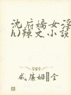 沈府娇女淫史(h)辣文小说