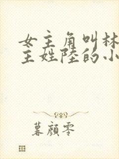 女主角叫林夏男主姓陆的小说封面