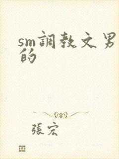 sm调教文男男的