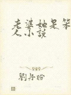 老婆她是笨蛋美人小说