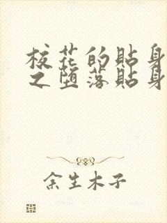 校花的贴身高手之堕落贴身校花小说封面