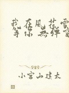 我在风花雪月里等你 无弹窗